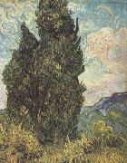Vincent Van Gogh Cypresses (nn04) France oil painting artist